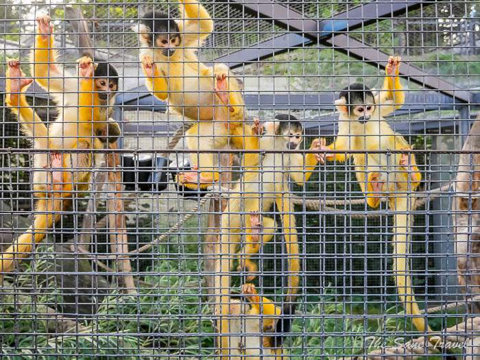 13 wilhelma stuttgart thesanetravel.comP1240820