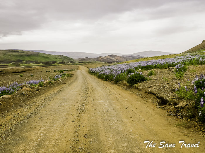 20 gjain thesanetravel.com P1053673