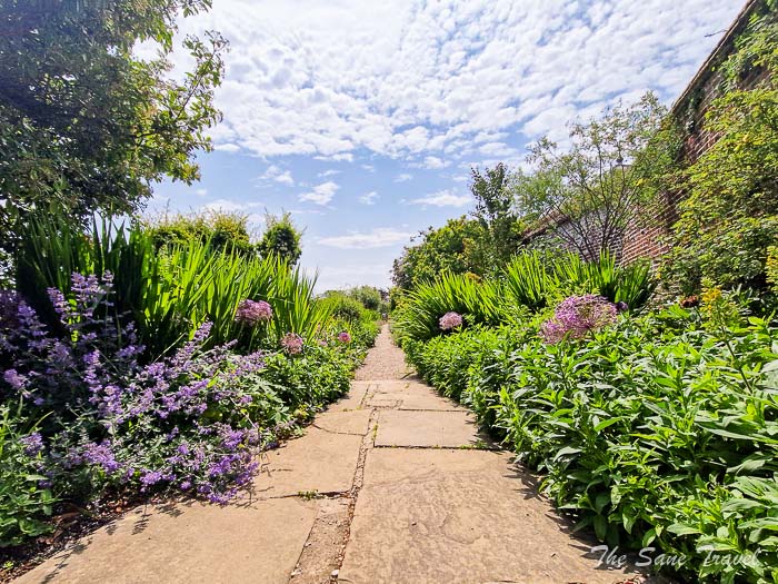 73 agnes thesanetravel.com 20230622 115613