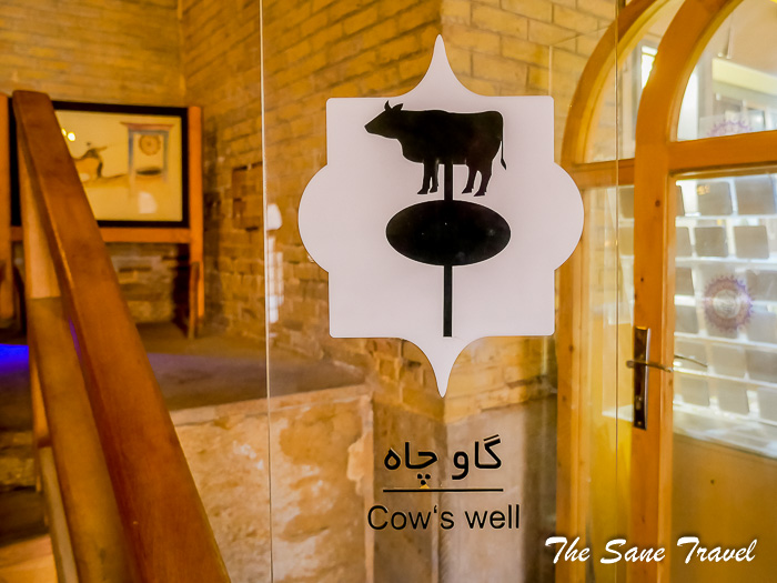 58 pink mosque shiraz thesanetravel.com P1191392