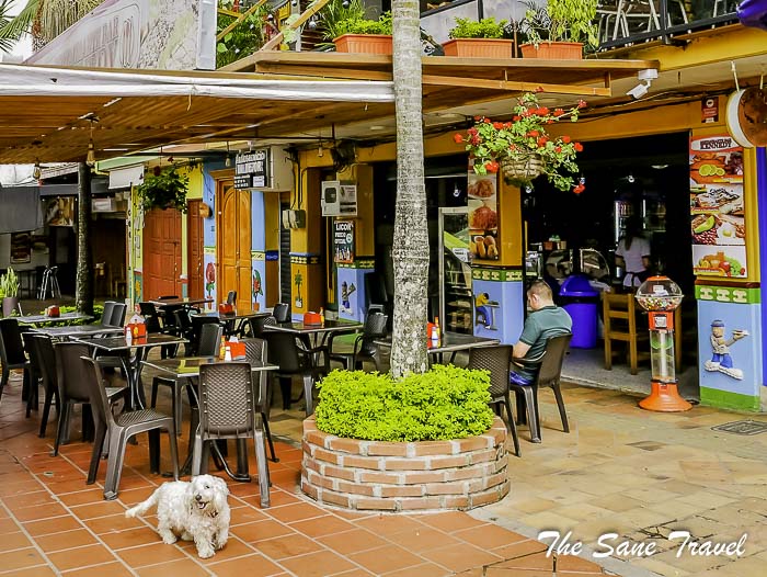 69 trout guatape P1900244