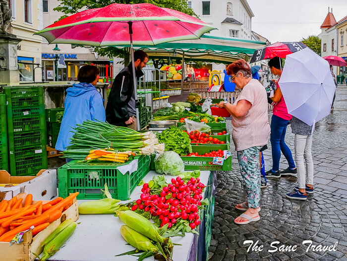 80 esterhazy eisenstadt thesanetravel com P1780378