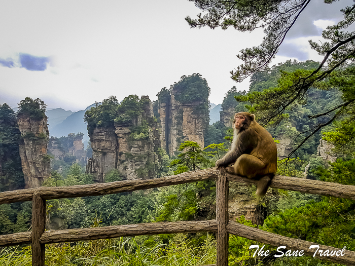 45 avatar mountains china thesanetravel.com 124753
