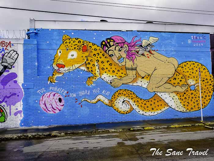 117 street art bogota colombia thesanetravel.com P1910971
