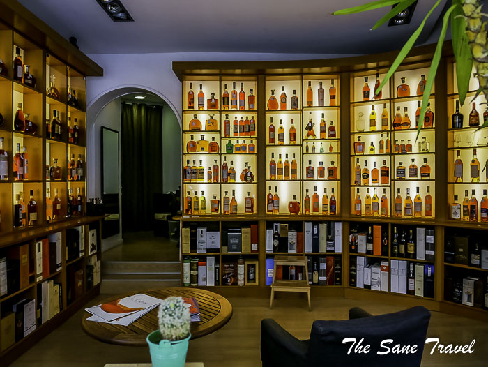 106 cognac only bordeaux thesanetravel.com P1700346