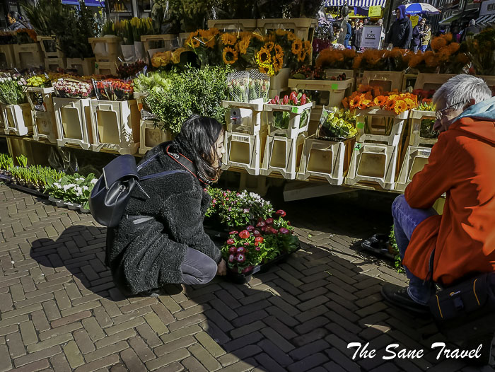 66 delft thesanetravel.com P1940819