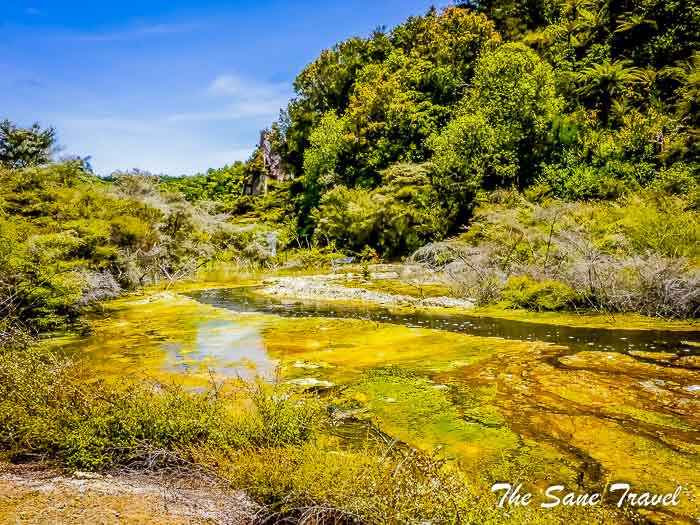 Nine things to see in North Island, New Zealand