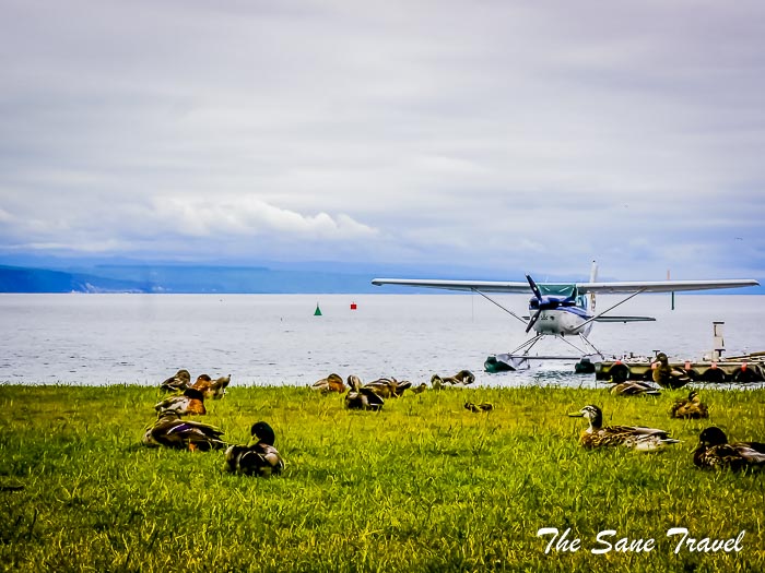 63 taupo thesanetravel.com P1340213