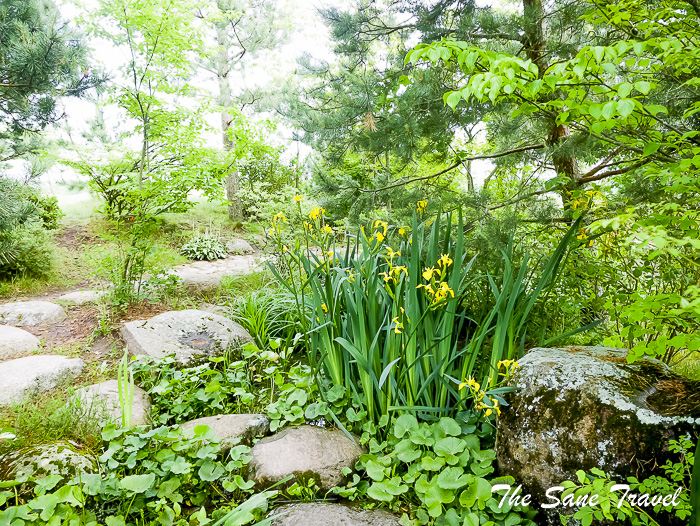 16 japanese gardenlithuania thesanetravel.com P2040898