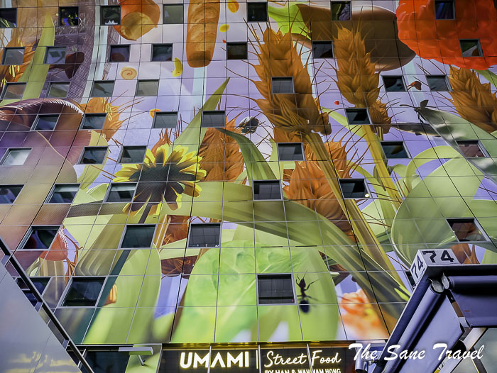 14 rotterdam thesanetravel.com P1940355