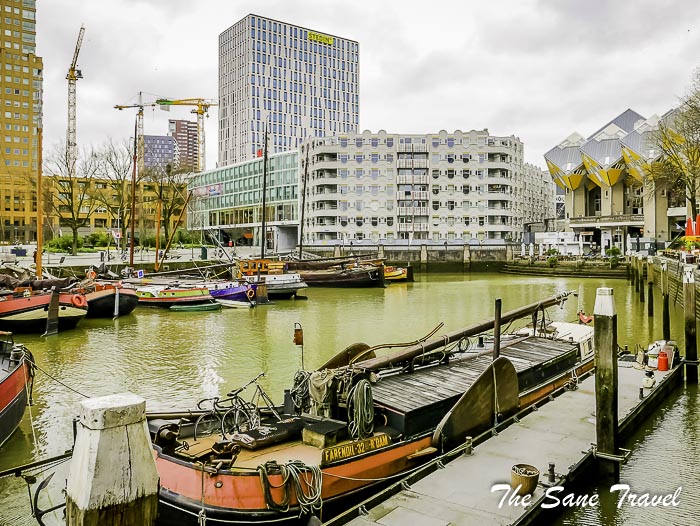65 rotterdam thesanetravel.com P1950139