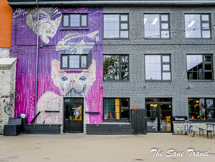 53 tallin thesanetravel.com P1840466