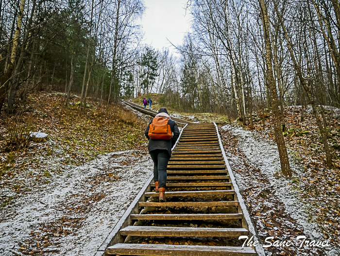 41vilnius christmas concert thesanetravel.com 1360403
