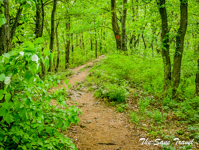 13tampa mountain brasov thesanetravel.com 1430725