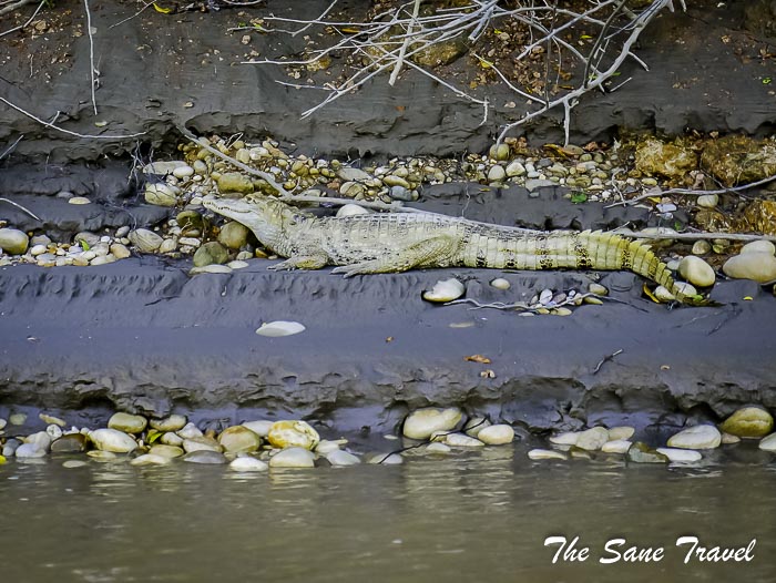 100 cano cristales colombia thesanetravel.com P1880735