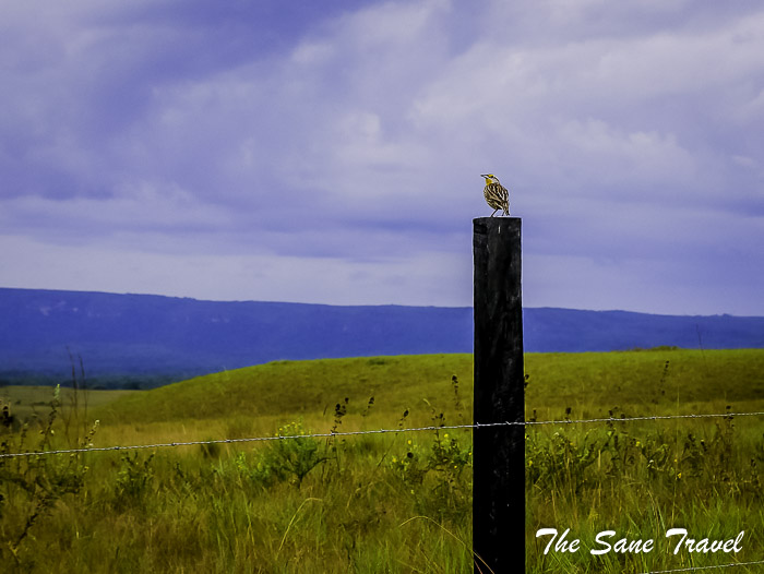 103 la macarena colombia thesanetravel.com P1880774