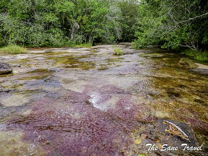 104 la macarena colombia thesanetravel.com P1880791