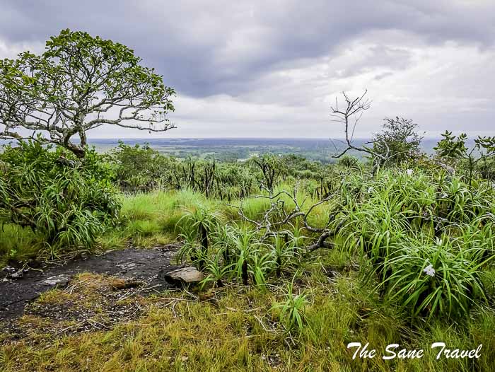109 la macarena colombia thesanetravel.com P1880849