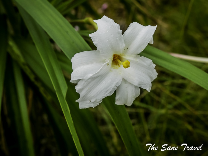 110 la macarena colombia thesanetravel.com P1880815