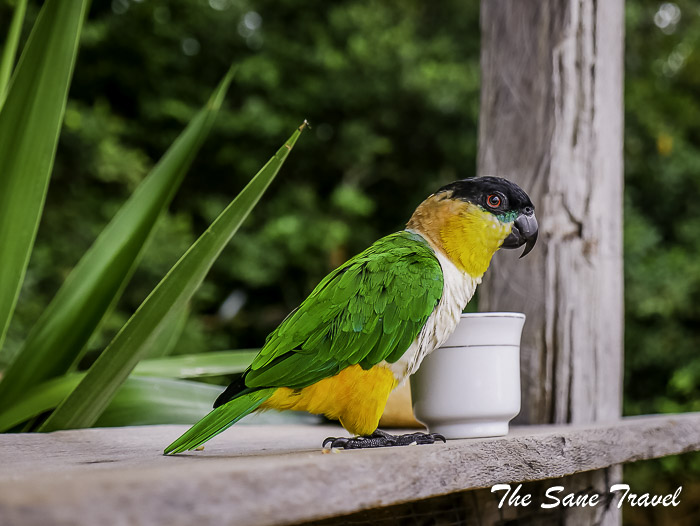 113 la macarena colombia thesanetravel.com P1880909