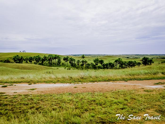 117 la macarena colombia thesanetravel.com P1890004