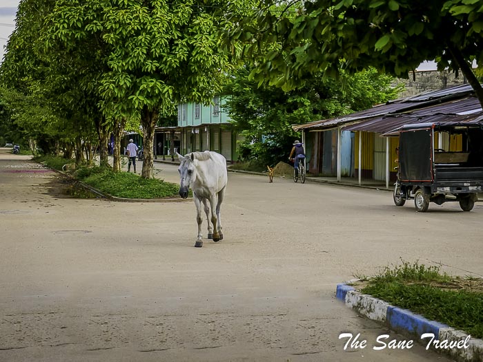 123 cano cristales colombia thesanetravel.com P1880340