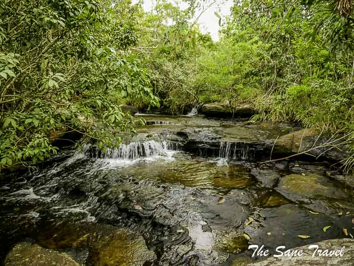 33 cano cristales colombia thesanetravel.com P1880272