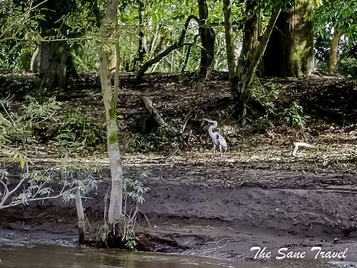 45 cano cristales colombia thesanetravel.com P1880390