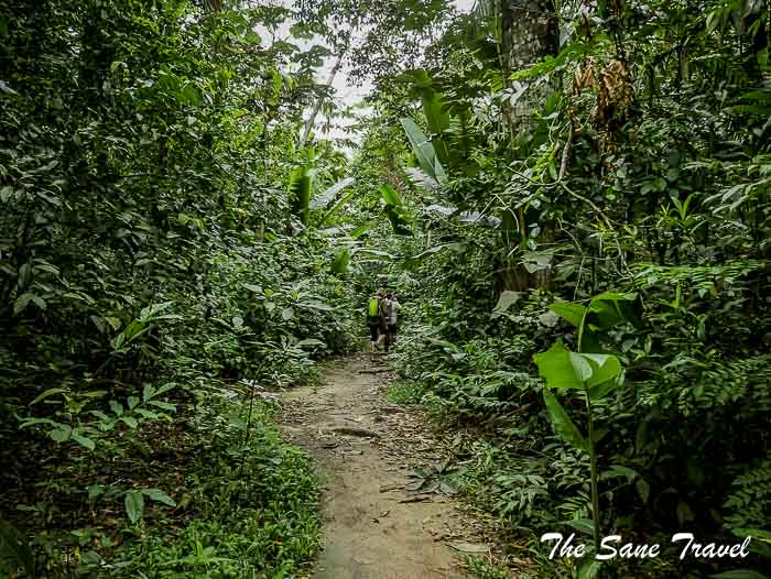 60 cano cristales colombia thesanetravel.com P1880482