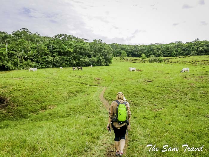 63 cano cristales colombia thesanetravel.com P1880497
