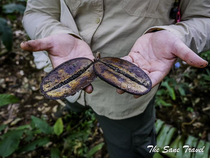 64 cano cristales colombia thesanetravel.com P1880506