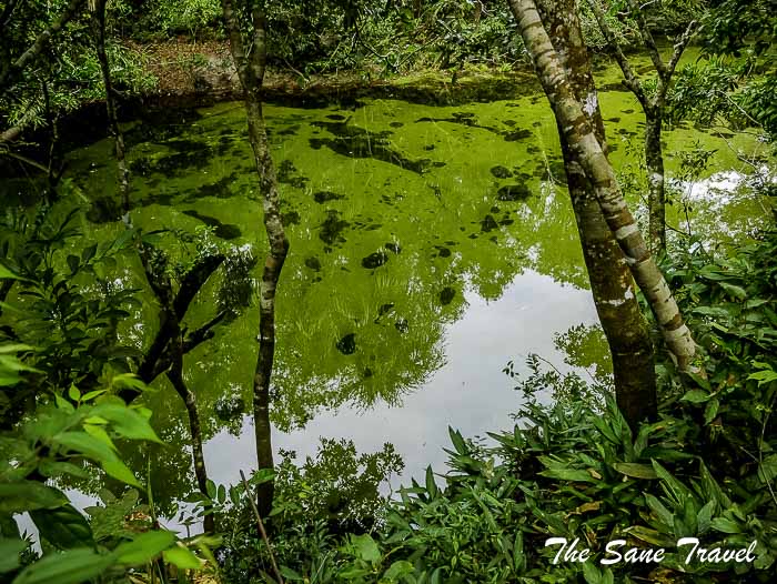65 cano cristales colombia thesanetravel.com P1880508