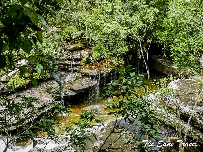 71 cano cristales colombia thesanetravel.com P1880548