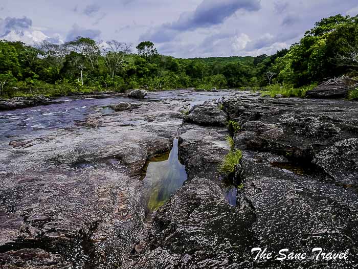76 cano cristales colombia thesanetravel.com P1880586