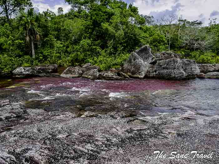 77 cano cristales colombia thesanetravel.com P1880587