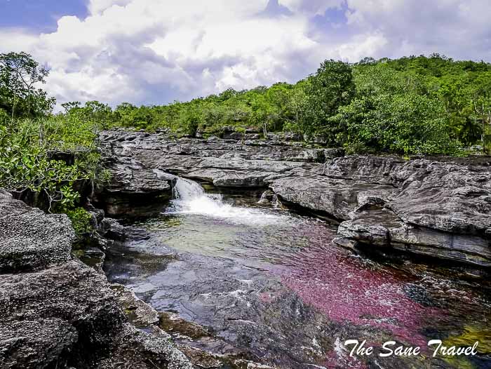 80 cano cristales colombia thesanetravel.com P1880594