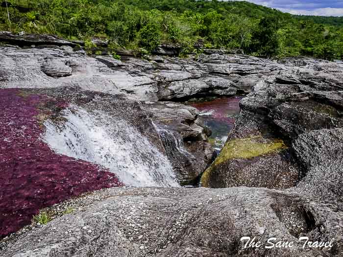 84 cano cristales colombia thesanetravel.com P1880622