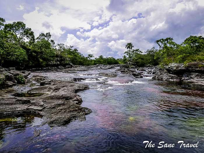86 cano cristales colombia thesanetravel.com P1880627