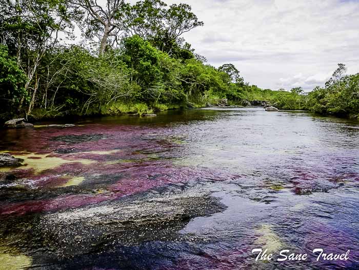 93 cano cristales colombia thesanetravel.com P1880676