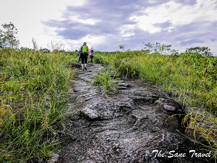 97 cano cristales colombia thesanetravel.com P1880658