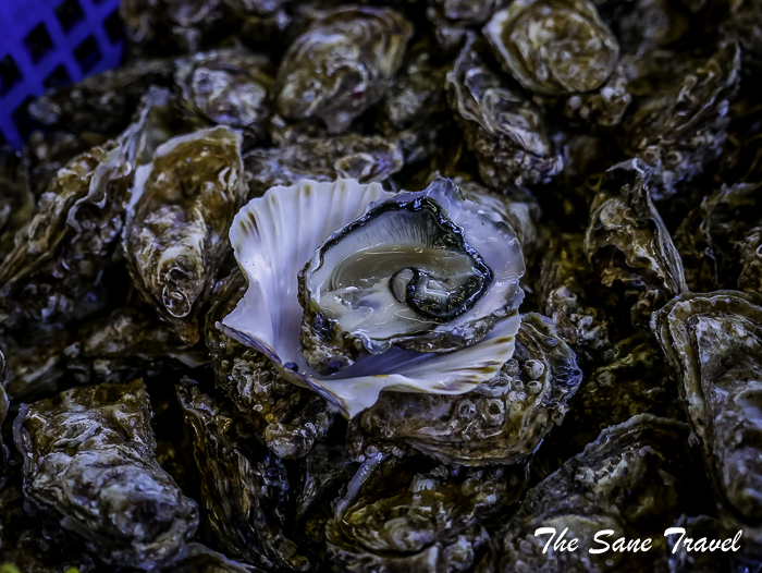 53cognac thesanetravel.com 1700565