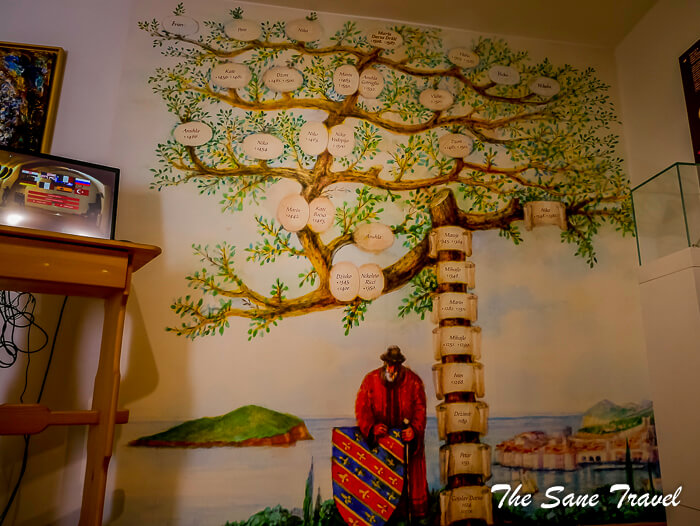 139dubrovnik thesanetravel com P1750865