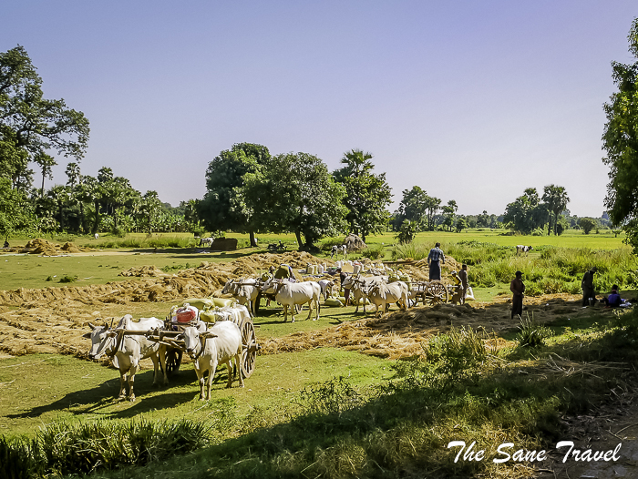 50bagaya monastery ava myanmar thesanetravel.com 1620787
