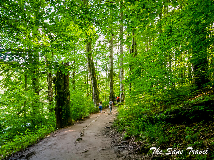 17 plitvice lakes thesanetravel.com Croatia (243)