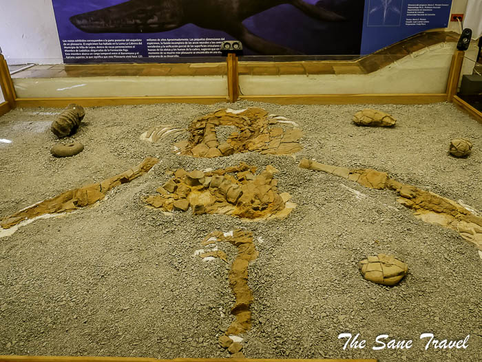 52 villa de leyva P1890386