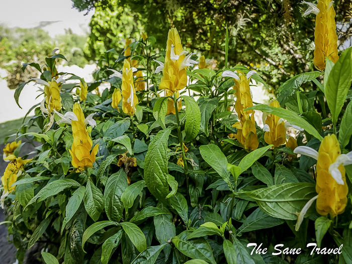 53 villa de leyva P1890396