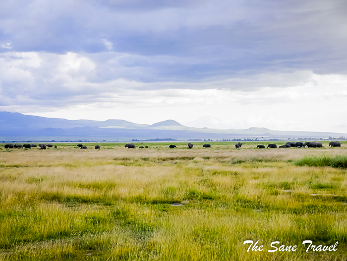 12amboseli kenya thesanetravel.com 1500199