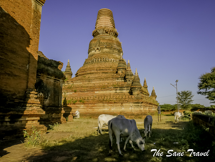 73sein nyet temple bagan thesanetravel.com 1610990