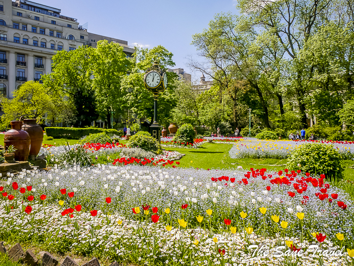 12 Things To Do In Bucharest In A Day