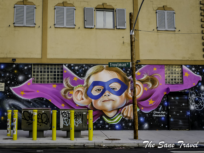 68 bushwick street art nyc thesanetravel.com 1560359